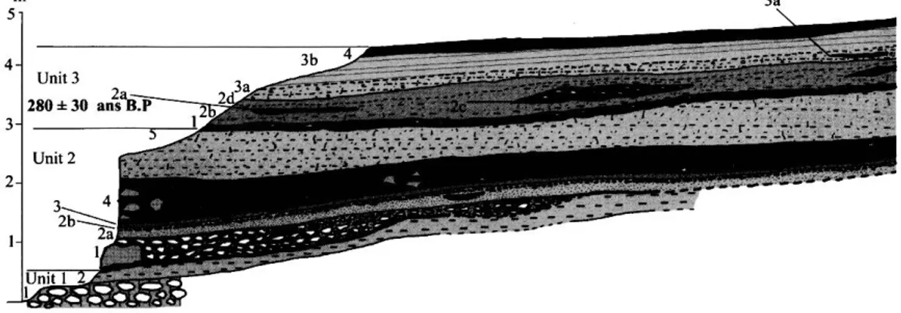 Fig. 6: Stratigraphie section of the lower terrace at Sidi Messaoud. See fig. 5  caption