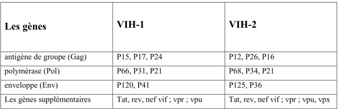Tableau 1: les gènes de VIH-1 et VIH-2 et leurs protéines correspondantes 