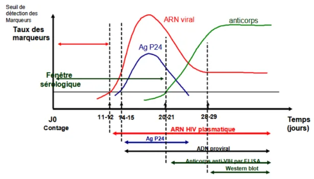 Figure 14: Evolution des marqueurs biologiques (Guide,2015) 