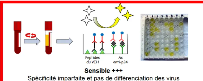 Figure 15:  Tests combinés antigène-anticorps(Sontie, 2010).