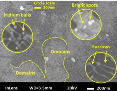 Fig. 2. SEM image of iridium surface after the BEN step. The scale of the images inside the circles is 100 nm.