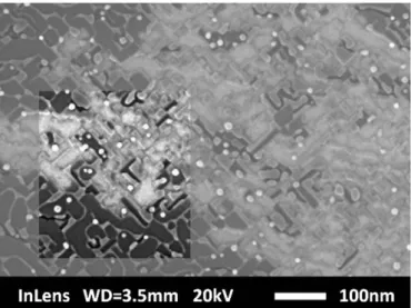Fig. 7. SEM images of a domain (a) after BEN (30′) and (b) after 15′ of growth: the presence of epitaxial diamond on the iridium surface at 45° of the furrows.