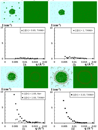 FIGURE 1: Structures of globules made of lysosyme (green), h-PSS (green),  and (CD 3 ) 4 N +  counterions (red) in 100%H 2 O solvent (left ) or in  57%H 2 O/43%D 2 O solvent (right) and corresponding scattering of (CD 3 ) 4 N + in the 57%H 2 O/43%D 2 O sol