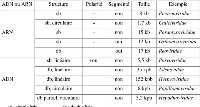 Tableau 01 : les différents types d’acides nucléiques viraux (LE FAOU, 2012)  ADN ou ARN  Structure  Polarité  Segmenté  Taille  Exemple 