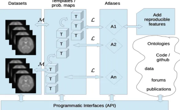 Fig. 3.Schematic summary of the relationship between datasets (illustrated by fMRI scans but including all types of features on brain organization), interoperable templates (providing the spatial framework for the analysis and representation of a particula