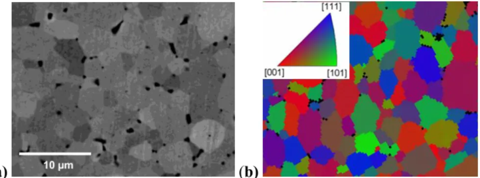 Figure  1(a)  shows the  microstructure  of the  sample  as  determined  by  SEM.  This  is  a  backscattered  electron  image  (secondary  electron  images  showed  no  contrast),  taken  at  an  electron  acceleration  voltage of 15kV