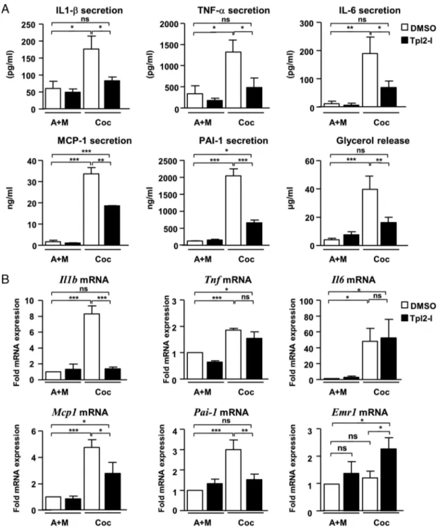 Figure 1. Pharmacological inhibition of Tpl2 in the coculture decreases the induction of inflammatory mediators and lipolysis