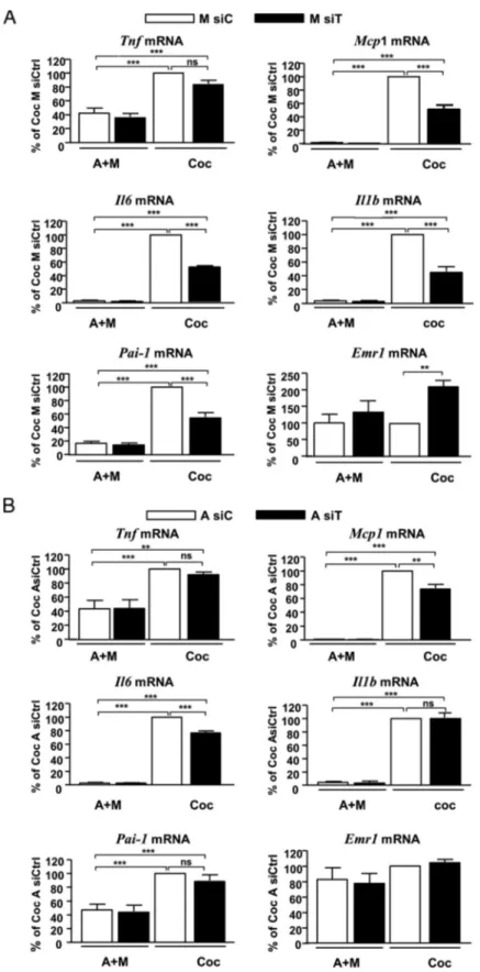Figure 5. Effect of Tpl2 silencing in macrophages or in adipocytes on cytokine mRNA expression induced by the coculture