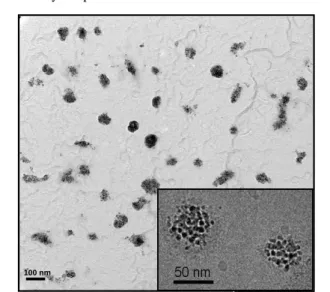 Fig. 5 TEM pictures of PDMAEMA 85 -b-PBLG 41  / γ-Fe 2 O 3  (10 wt. %)  hybrid nanoparticles prepared by water-to-DMSO injection at two 