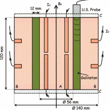Figure 1 shows a vertical cut of the experimental device. An azimuthal Lorentz force is generated by a radial current and an axial magnetic field in order to force a cylindrical layer of liquid alloy: