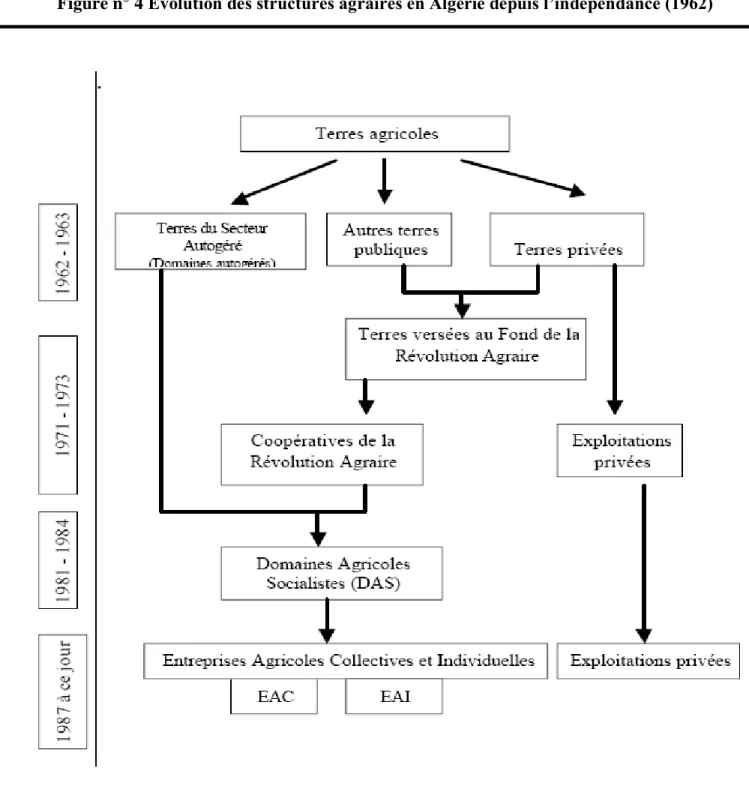 Figure n° 4 Evolution des structures agraires en Algérie depuis l’indépendance (1962)     