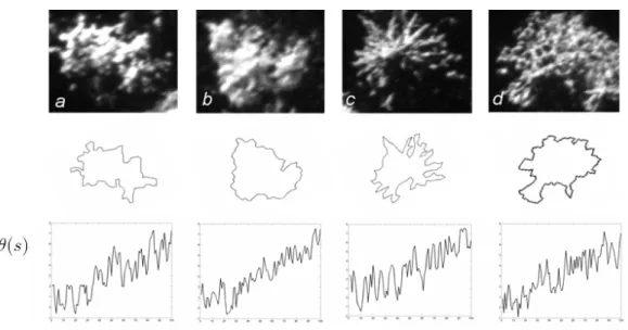 Figure 2.3: Examples of crowns of four species, their contours, and the corresponding angle functions θ, where (a) stands for aspen, (b) for birch, (c) for spruce, and (d) for pine.