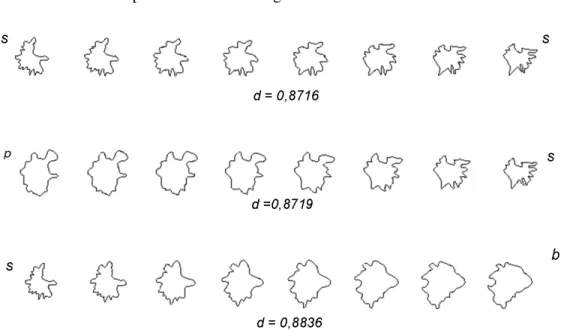 Figure 2.10: Examples of geodesic paths for trees ((s) spruce, (b) birch, (p) pine) using the elastic q-function representation.