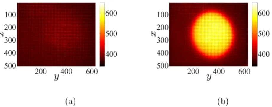 Figure 1: (a) Reference image and (b) synthetically deformed image mimicking laser illumination and thermal expansion of the hot region