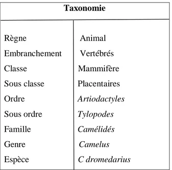 Tableau 01 : Classification zoologique du dromadaire (Kadim &amp; al., 2013).