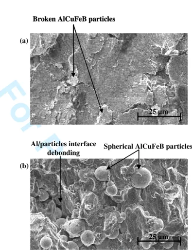 Figure 7. Representative fracture surfaces of (a) composite  samples containing the   phase and (b) the i phase.