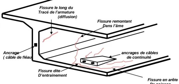 Figure 1. 3 : Principaux types de fissures dans un caisson