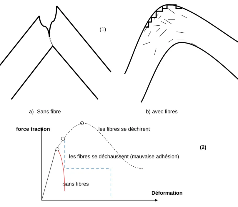 Figure 3.2  Illustration de l’apport du renfort par des fibres [Cotterell 1996] [14] 