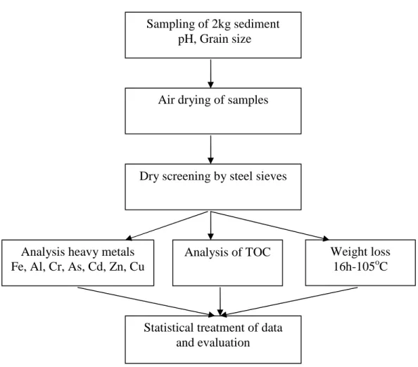 Figure 3.1 Sampling and evaluation scheme of sediment  3.2.1.1 Method of collection sediment samples 