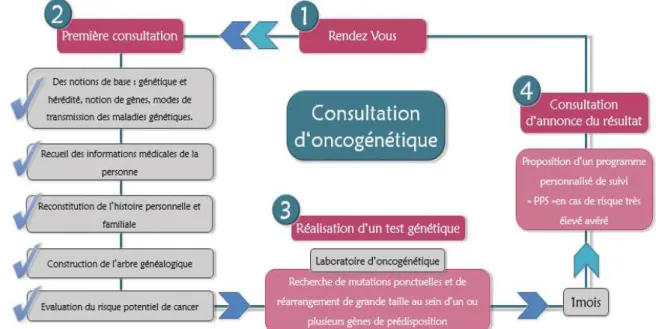 FIGURE 1.9  consultation d’oncogénétique Source : Centre Léon-Bérard 