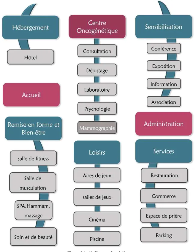 Figure 3.1 : l’effet Angelina jolie  Source : auteurs du mémoire 