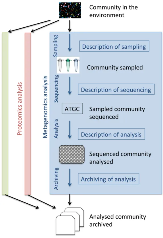 Figure 1: A generalized metagenomics data analysis workflow in the context of other “omics” approaches.
