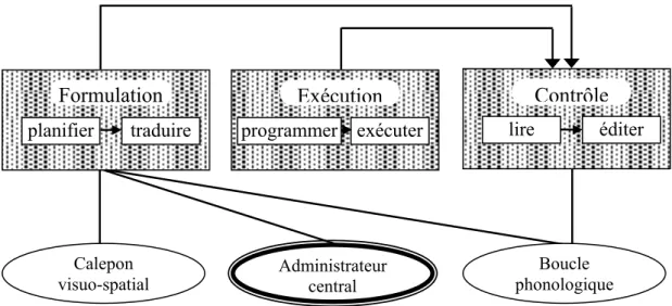 Figure 4. Modèle de Kellogg (1996) sur les composantes de la mémoire de  travail  