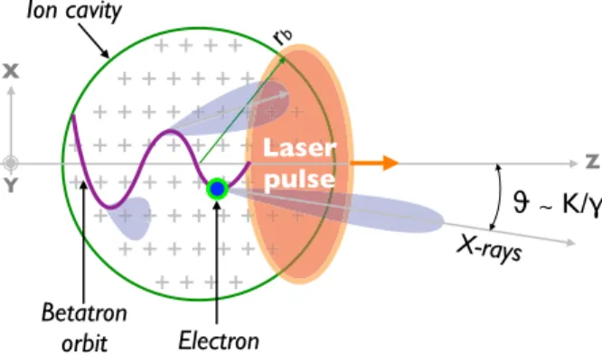 Figure 5 represents the principle of the mechanism. As dis- dis-cussed, the bubble regime is reached when an intense  femto-second laser pulse, propagating in an underdense plasma, evacuates plasma electrons from the high-intensity regions and leaves an io