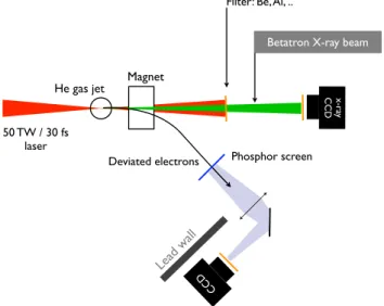 Figure 20 shows the maximum of the radiated energy per unit solid angle beyond 1 keV (in arbitrary units), as a function of the electron density, obtained in the experiment and in PIC simulations