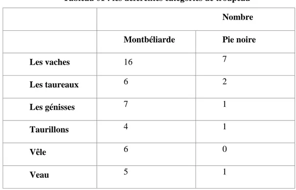 Tableau 01 : les déférentes catégories de troupeau  Nombre  Montbéliarde  Pie noire 