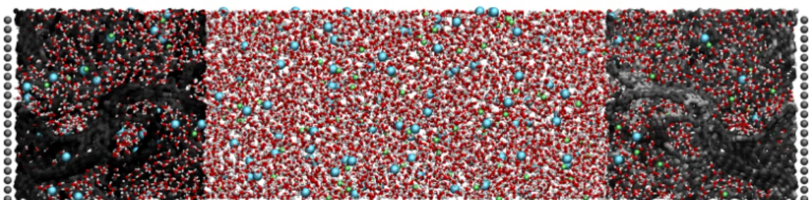 Figure 1: Typical system simulated using MetalWalls. An aqueous NaCl electrolyte is put in contact with two electrified nanoporous carbon electrodes (left: positive electrode, right: negative electrode).