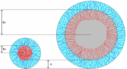 Figure 7 : Sketch of the TBP solubilisation in the L64 aggregates during the first (lowest  TBP  contents,  i.e