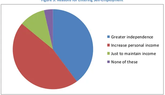 Figure 3: Reasons for Entering Self-Employment 