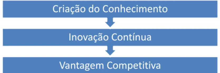 Figura 5 ‐ Representação sintética da evolução para obtenção de vantagem  competitiva 