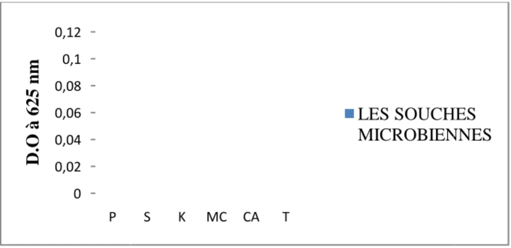 Figure : détermination de la densité optique des suspensions microbiennes à 625 nm.