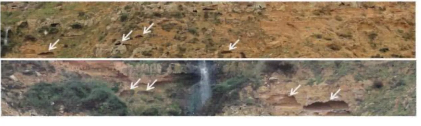 Figure 32 : Quelques structures karstiques dans les grès calcareux du Pliocène 