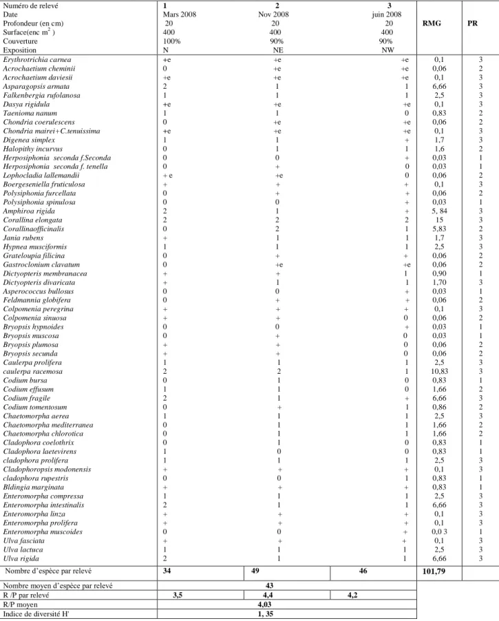 Tableau 11-  Fiche du peuplement algal : station Salamandre        