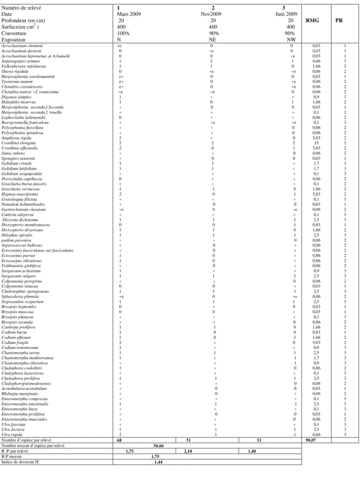 Tableau 13- Fiche du peuplement algal station Kharouba         