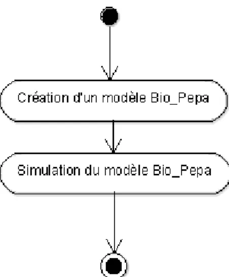 Figure 6: Diagramme d’activité de la création du model Bio-PEPA. 