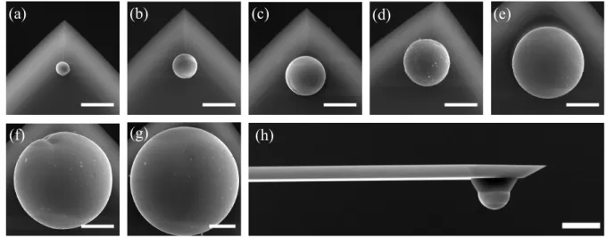 Figure 6: SEM micrographs of tungsten spherical particles grafted onto tip-less cantilevers
