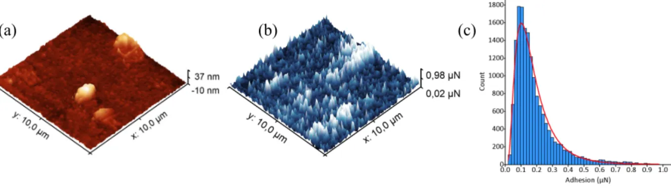 Figure 5: (a) Topographic AFM image (10 x 10 µm 2 ) obtained in PF-QNM mode with a 3.9 µm tungsten particle