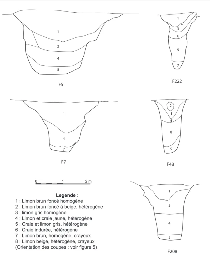 fig. 7 – Coupe des fosses à profil en V-Y de Bétheny « les Écavés » (DAO J. Hauret et S