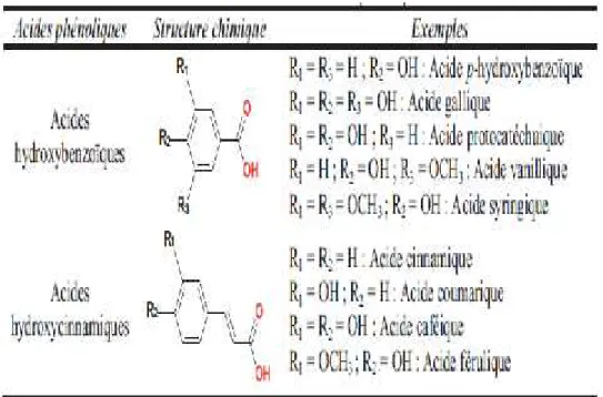 Tableau 1: Structure des acides phénoliques (Grigoras, 2012).