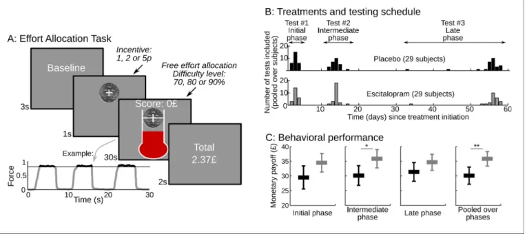 Figure 1. Task design and behavioral performance. (A) The screenshots depict a trial as it was presented to subjects.Subjects were free to allocate their effort as they wished over the 30s corresponding to the trial duration