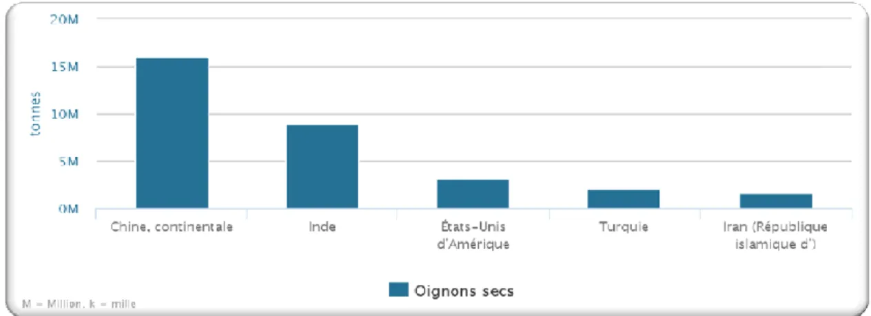 Figure 05 : Les principaux producteurs d’oignon (FAOSTAT 2016). 