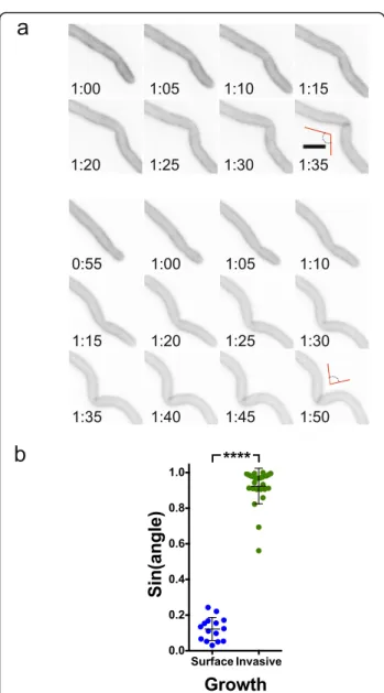 Figure 10b and c show an example of such a transition, in which the extension rate is reduced during invasive growth in PDMS and increases exiting PDMS