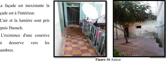 Figure 16 Auteur 