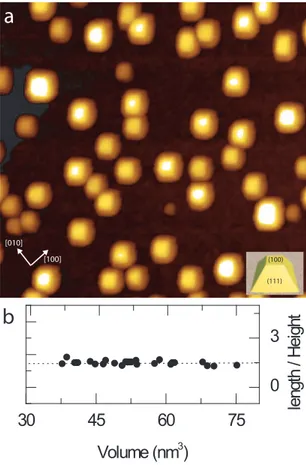 FIG. 1: (color online) (a) Co deposition onto a 350 ◦ C SrTiO 3 (001)- (001)-c(4×2) substrate followed by a 320 ◦ C anneal gives rise to  trun-cated pyramid shaped nanocrystals as shown in the STM image, 80×80 nm 2 , V s = +1.0 V, I t = 0.1 nA