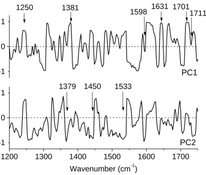 Fig. 6 - Loading plot of the two first Principal Components PC1 and PC2 