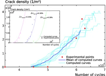Fig. 6. Experimental and computed crack density curves (and their mean curve) for 400 l m length elements, a 0.30% strain load and a threshold detection of 400 l m for experimental results